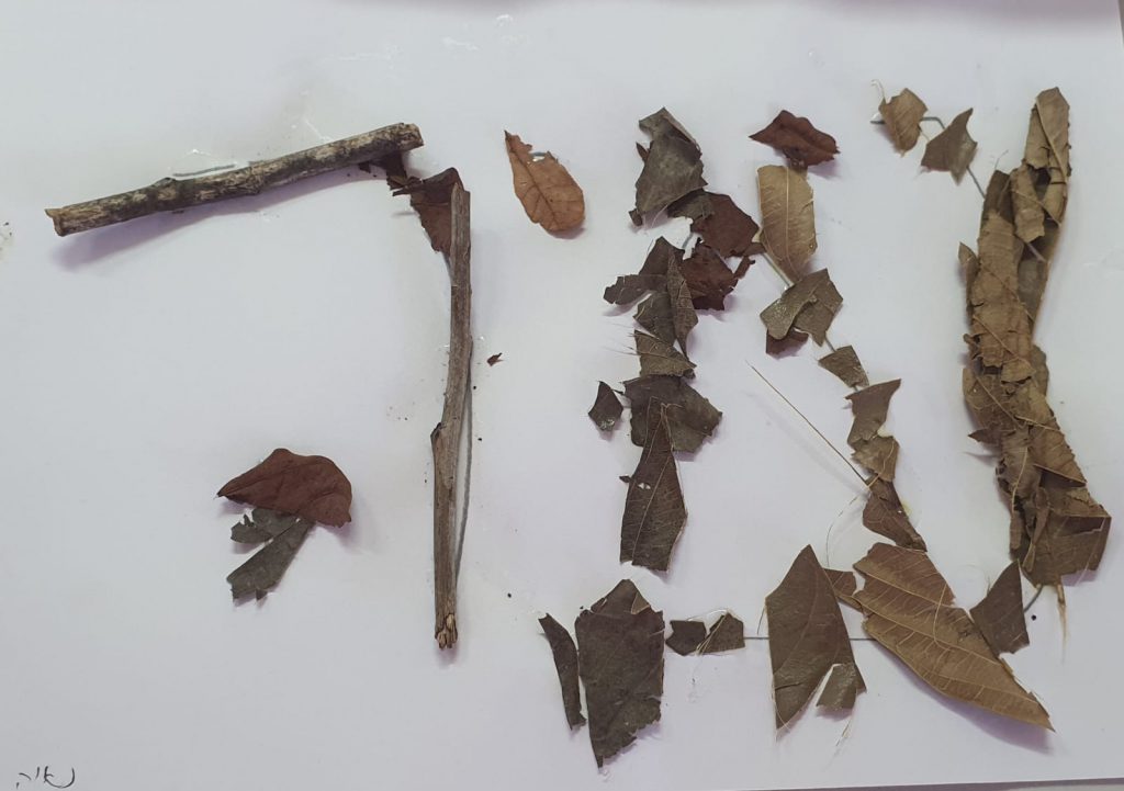 נאיה כהן by adi zilber - Ourboox.com