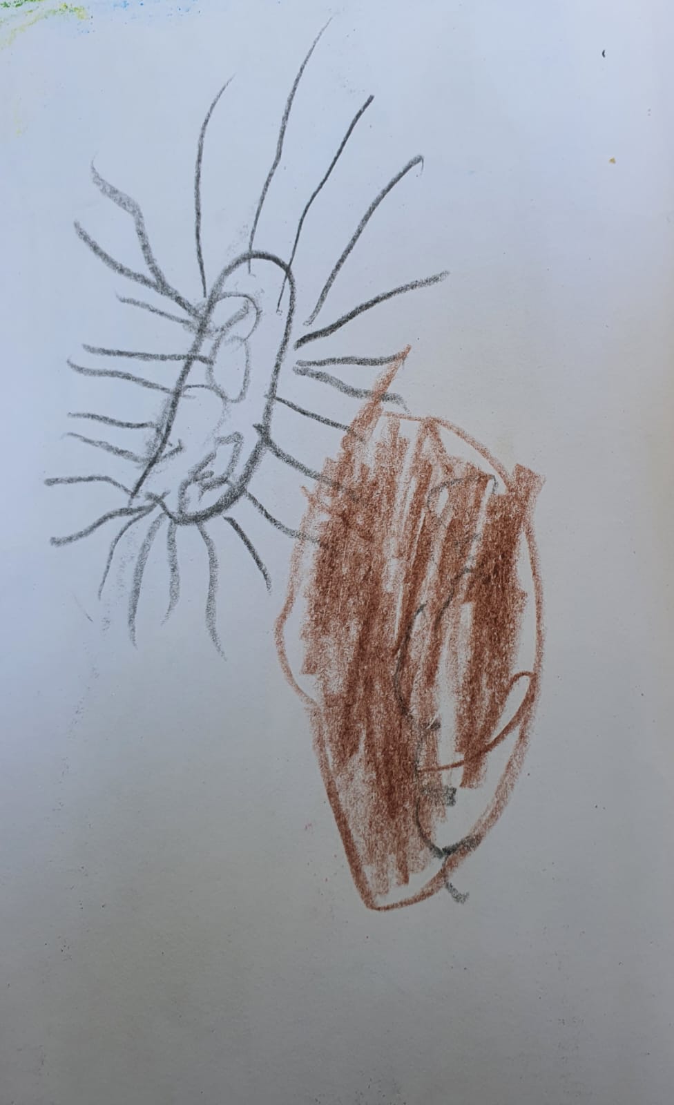 איתי לוינוביץ by adi zilber - Ourboox.com