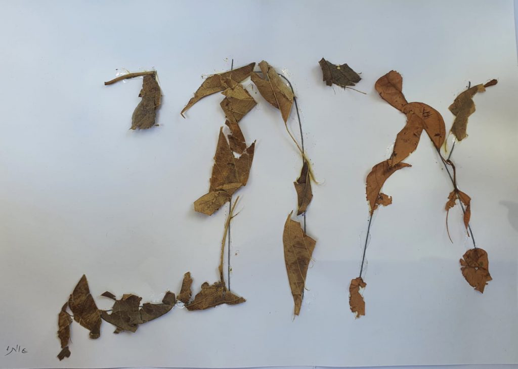 איתי לוינוביץ by adi zilber - Ourboox.com