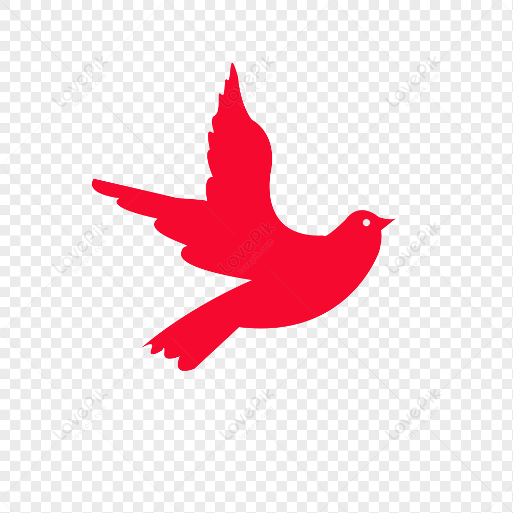 الحيوانات والألوان by temaa abu - Ourboox.com