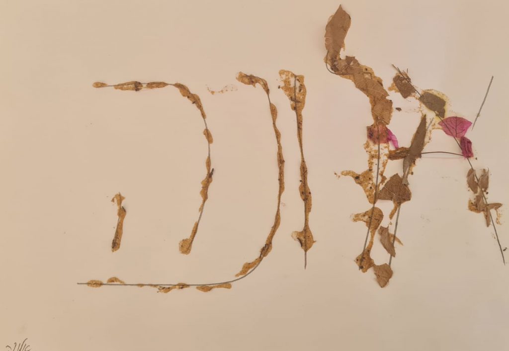 אלונה רואש by adi zilber - Ourboox.com