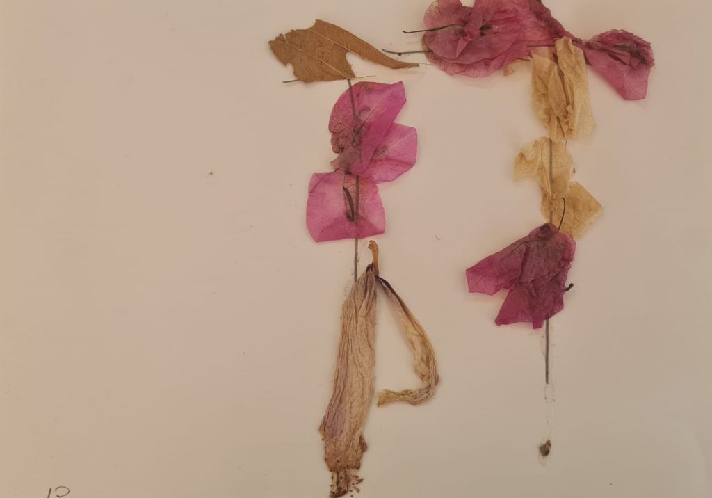 דן רנר by adi zilber - Ourboox.com