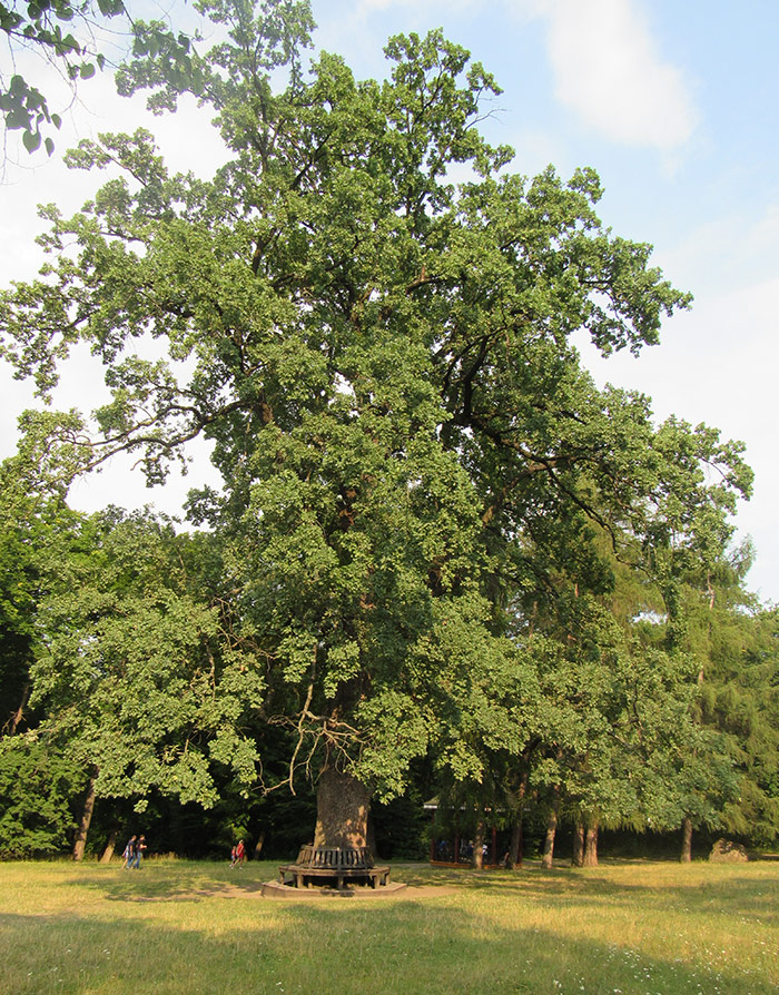 Парк “Софіївка” by Vlada - Ourboox.com
