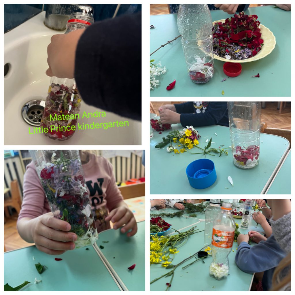 My Material is From Nature project OUR MATERIAL: FLOWERS booklet by Jūratė Dzindzalietienė - Ourboox.com