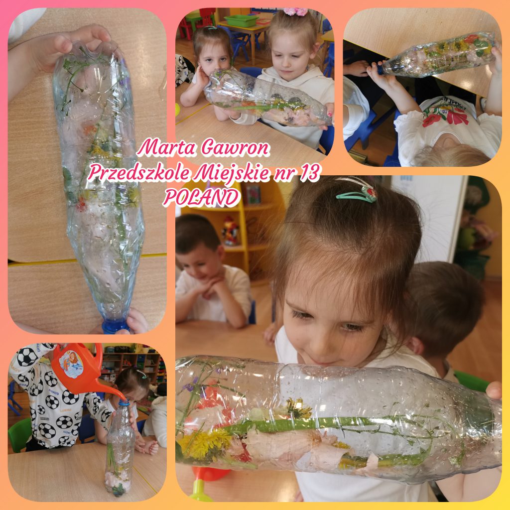 My Material is From Nature project OUR MATERIAL: FLOWERS booklet by Jūratė Dzindzalietienė - Ourboox.com