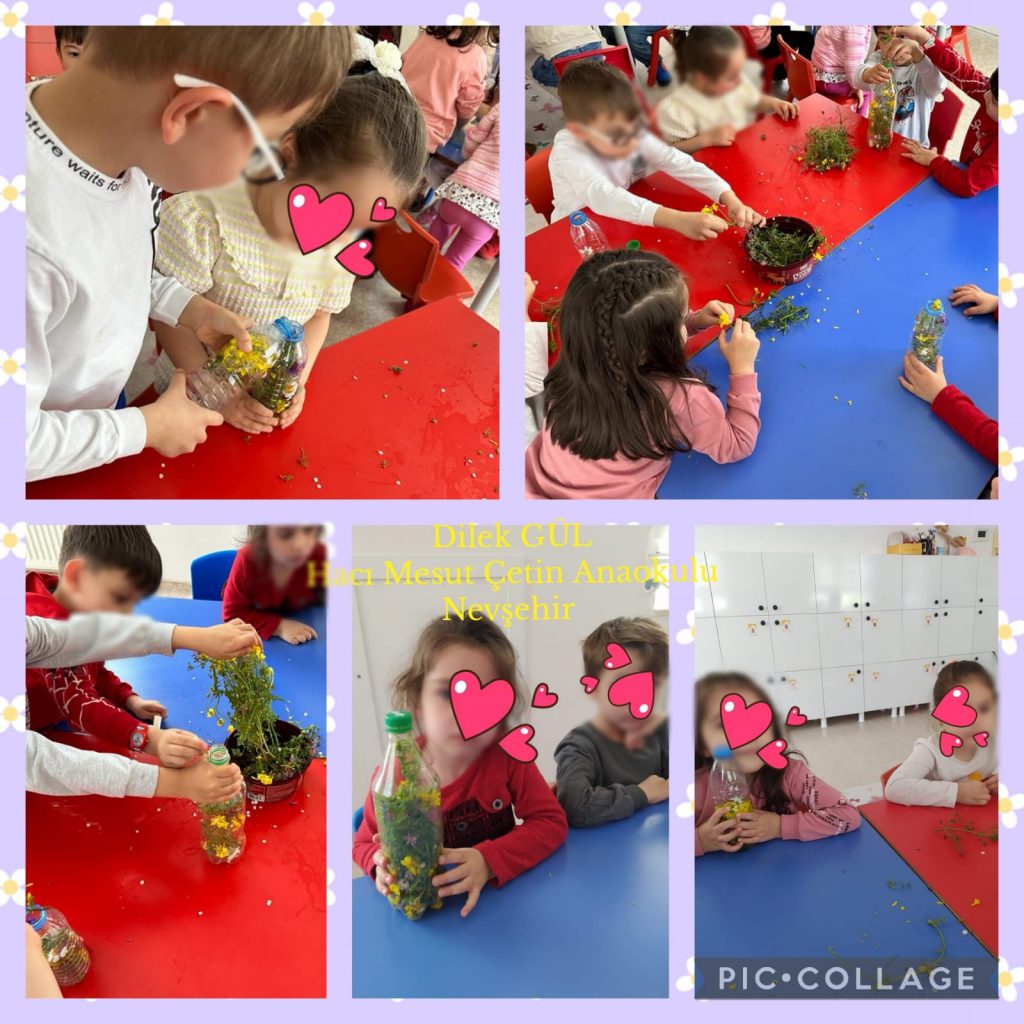 My Material is From Nature project OUR MATERIAL: FLOWERS booklet by Jūratė Dzindzalietienė - Ourboox.com