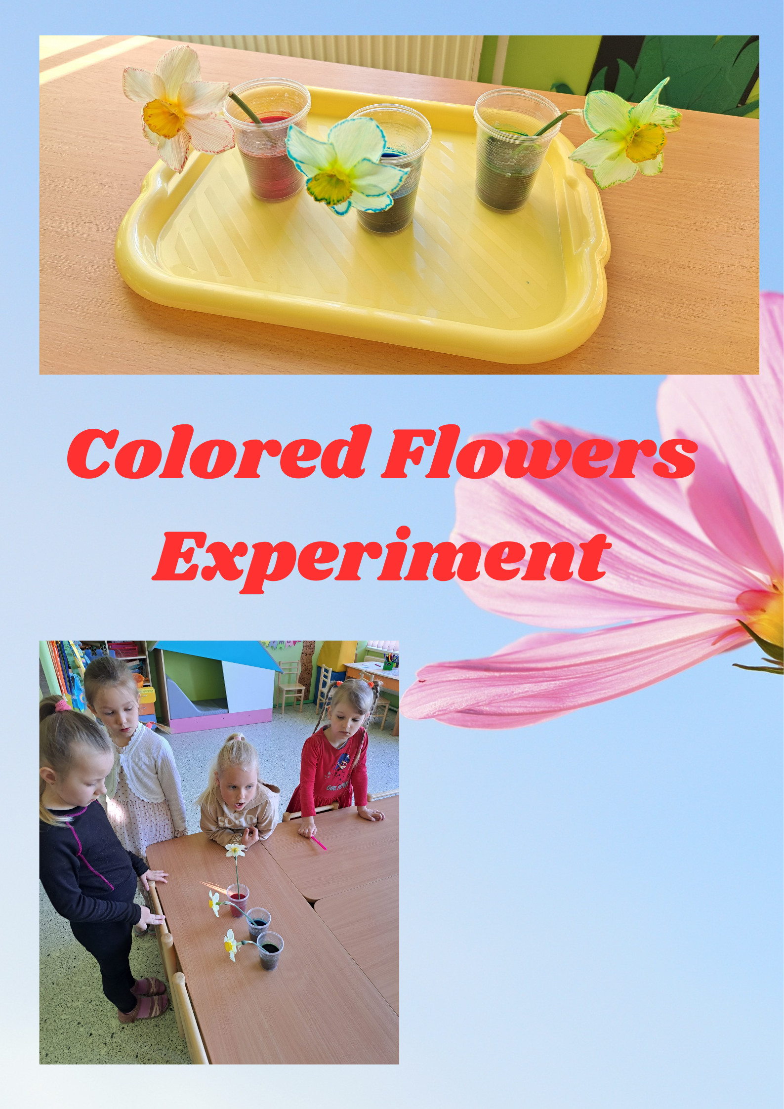 My Material is From Nature project OUR MATERIAL: FLOWERS booklet by Jūratė Dzindzalietienė - Ourboox.com