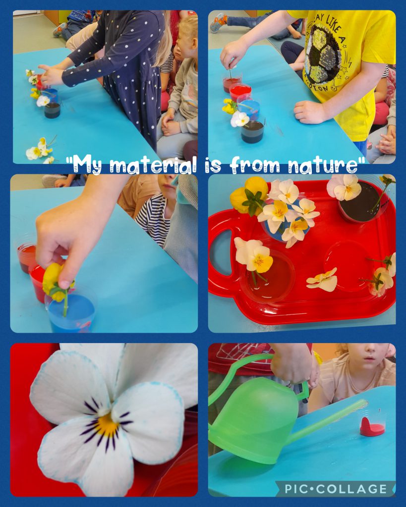 My Material is From Nature project OUR MATERIAL: FLOWERS booklet by Jūratė Dzindzalietienė - Ourboox.com