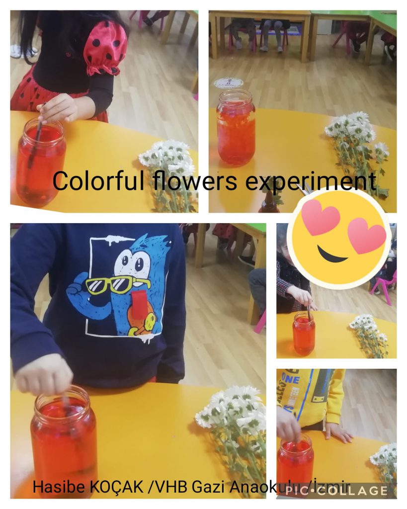 My Material is From Nature project OUR MATERIAL: FLOWERS booklet by Jūratė Dzindzalietienė - Ourboox.com