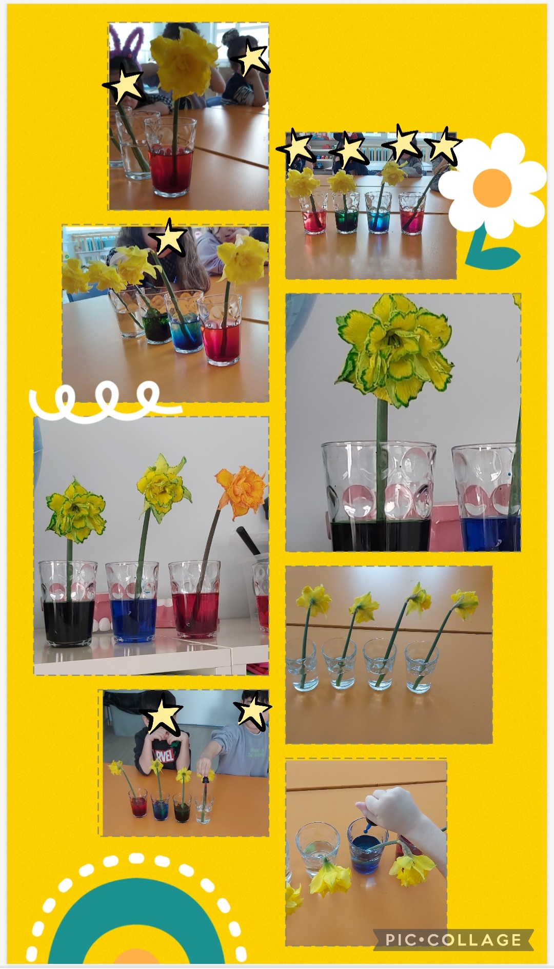 My Material is From Nature project OUR MATERIAL: FLOWERS booklet by Jūratė Dzindzalietienė - Ourboox.com