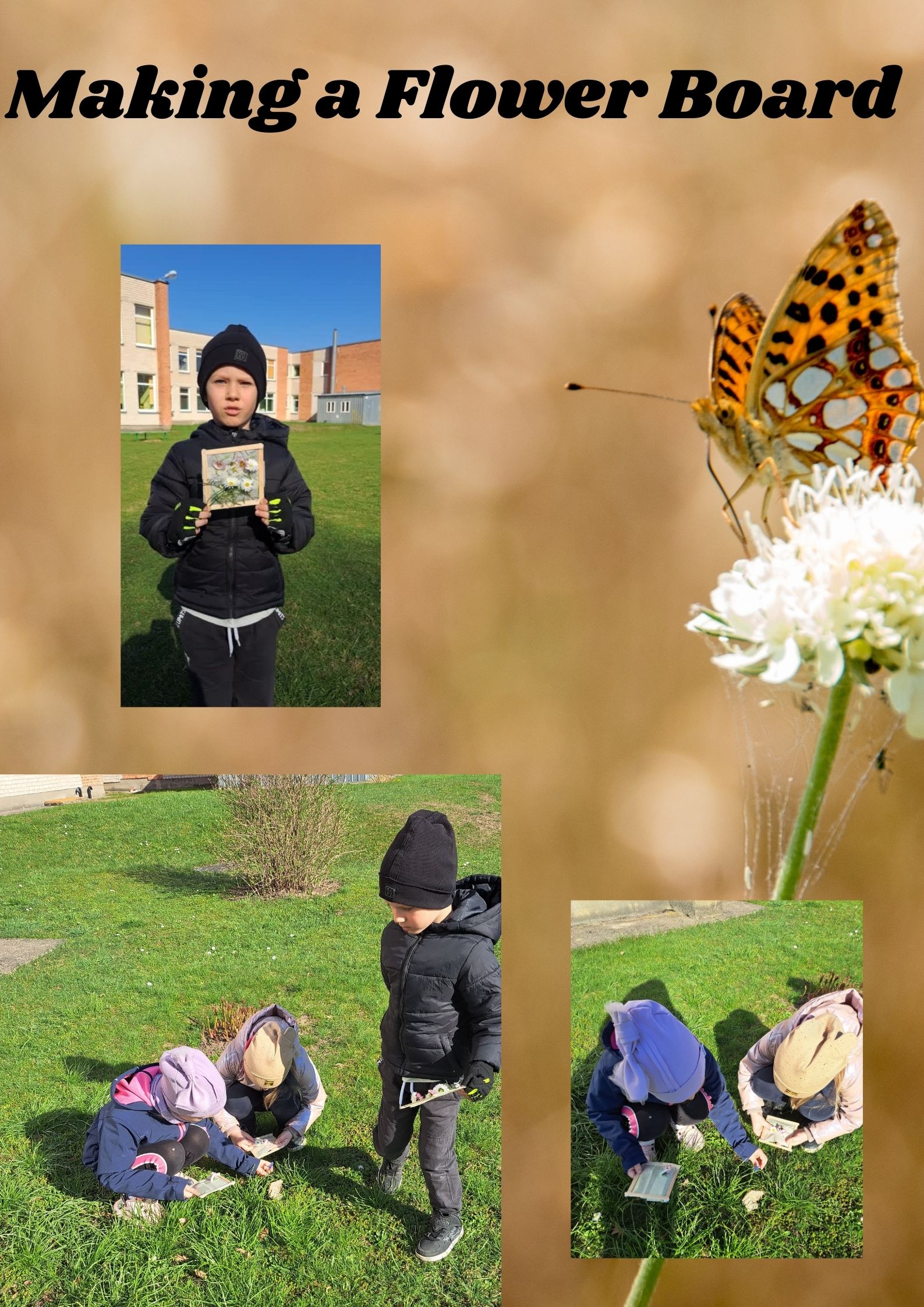 My Material is From Nature project OUR MATERIAL: FLOWERS booklet by Jūratė Dzindzalietienė - Ourboox.com