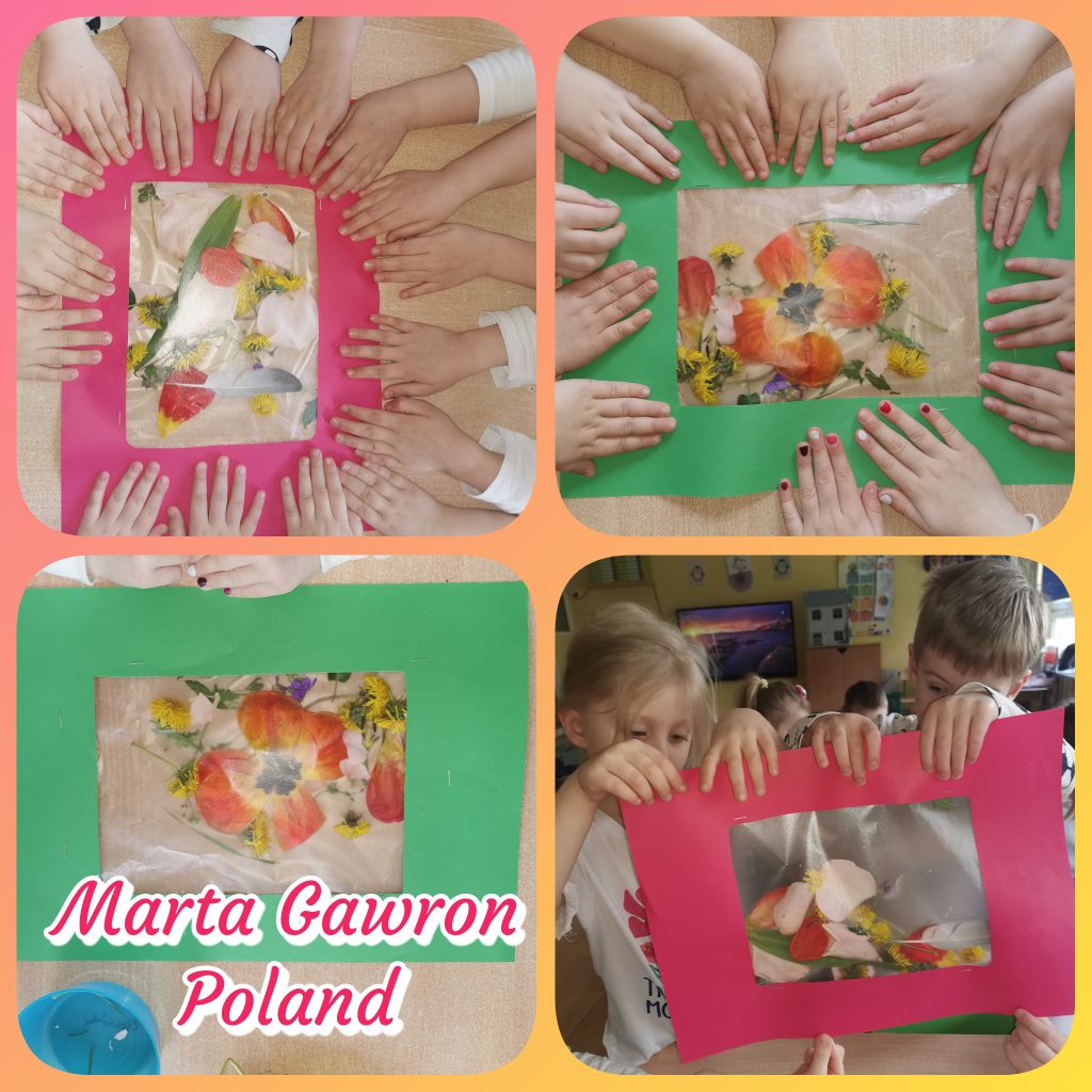 My Material is From Nature project OUR MATERIAL: FLOWERS booklet by Jūratė Dzindzalietienė - Ourboox.com