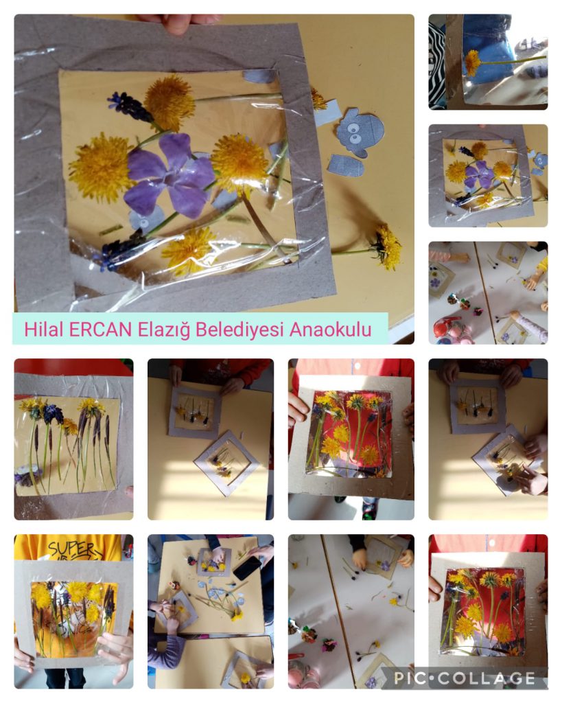 My Material is From Nature project OUR MATERIAL: FLOWERS booklet by Jūratė Dzindzalietienė - Ourboox.com