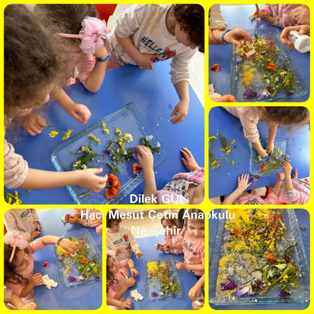 My Material is From Nature project OUR MATERIAL: FLOWERS booklet by Jūratė Dzindzalietienė - Ourboox.com