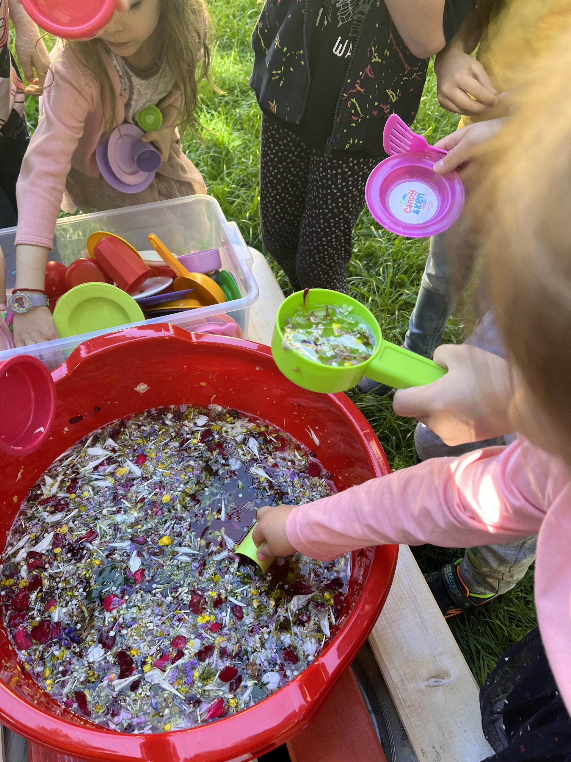 My Material is From Nature project OUR MATERIAL: FLOWERS booklet by Jūratė Dzindzalietienė - Ourboox.com