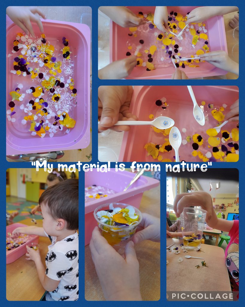 My Material is From Nature project OUR MATERIAL: FLOWERS booklet by Jūratė Dzindzalietienė - Ourboox.com