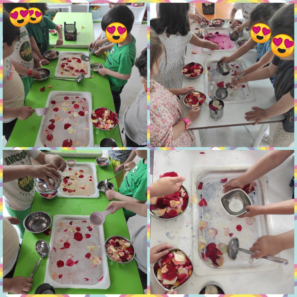 My Material is From Nature project OUR MATERIAL: FLOWERS booklet by Jūratė Dzindzalietienė - Ourboox.com