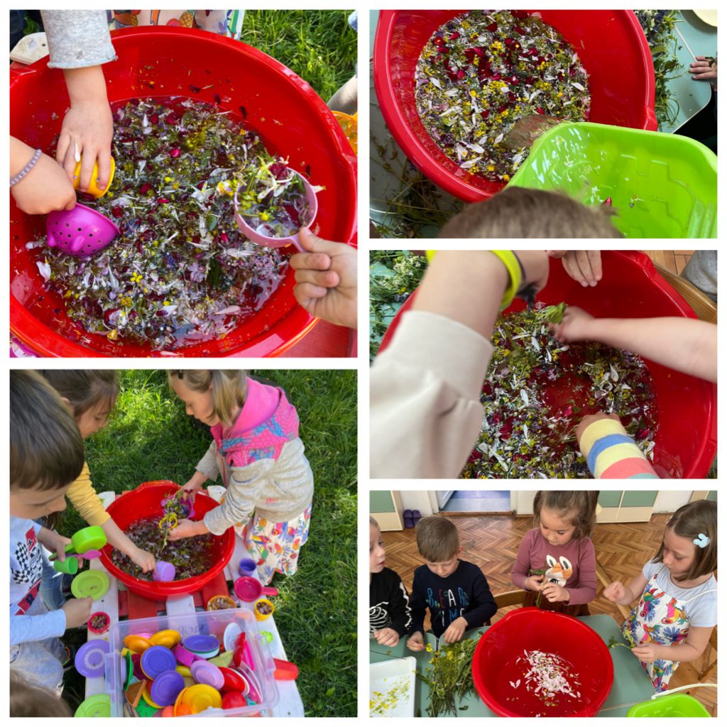 My Material is From Nature project OUR MATERIAL: FLOWERS booklet by Jūratė Dzindzalietienė - Ourboox.com