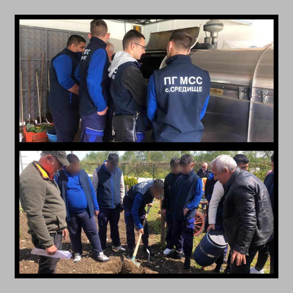 by Pelin Su E. - Illustrated by - Ourboox.com