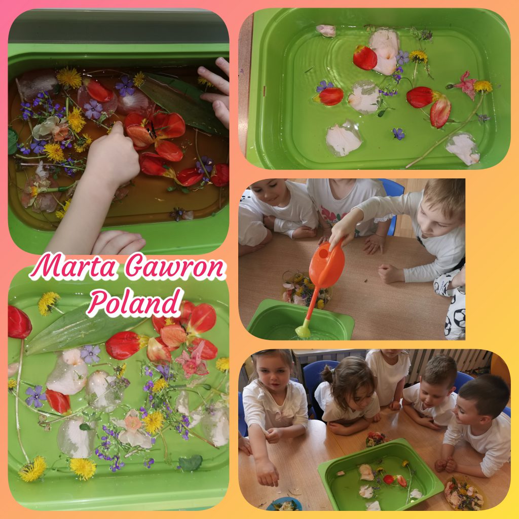 My Material is From Nature project OUR MATERIAL: FLOWERS booklet by Jūratė Dzindzalietienė - Ourboox.com