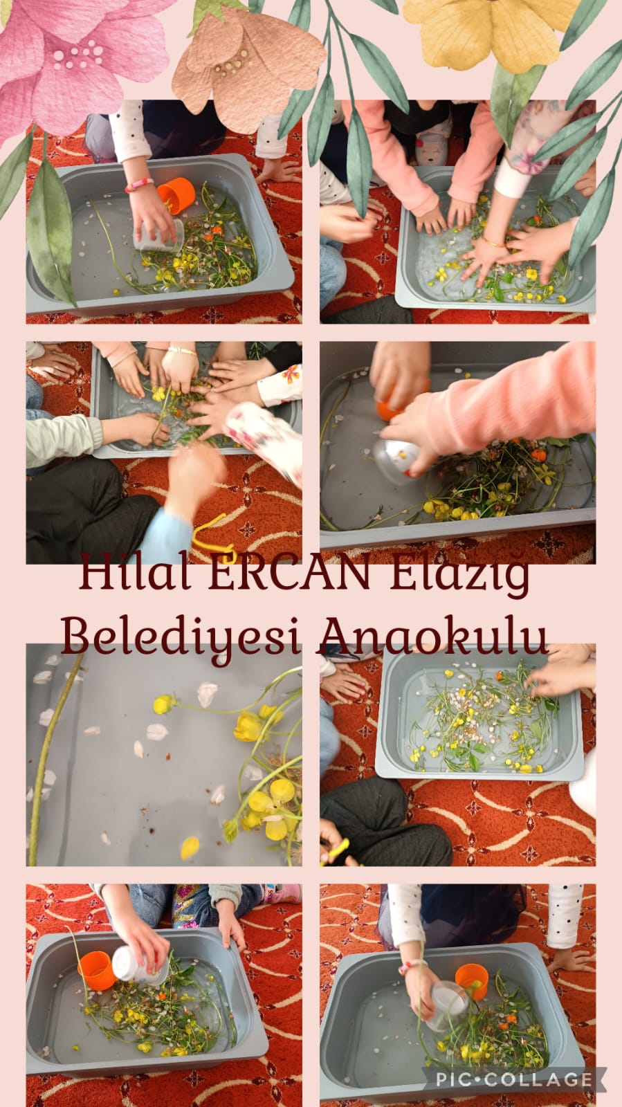 My Material is From Nature project OUR MATERIAL: FLOWERS booklet by Jūratė Dzindzalietienė - Ourboox.com