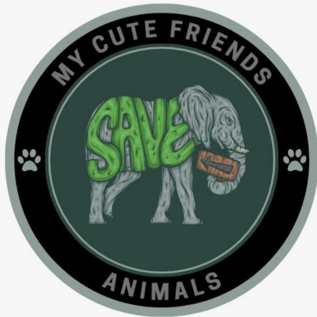 My Cute Friends, Animals by Emine H. - Ourboox.com