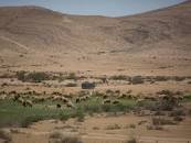 ארץ ישראל ליפני ההקמה