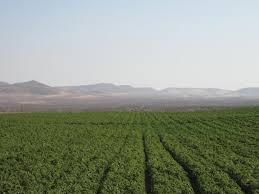 עבודת סיכום במידרשה by nghi - Ourboox.com