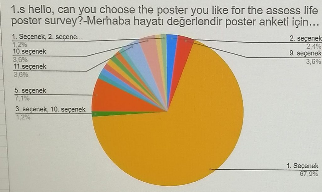 HAYATI “DEĞER” LENDİR POSTER ANKETi (E VALUE LİFE QUESTİONNAİR) by ESRA AKTAN - Ourboox.com
