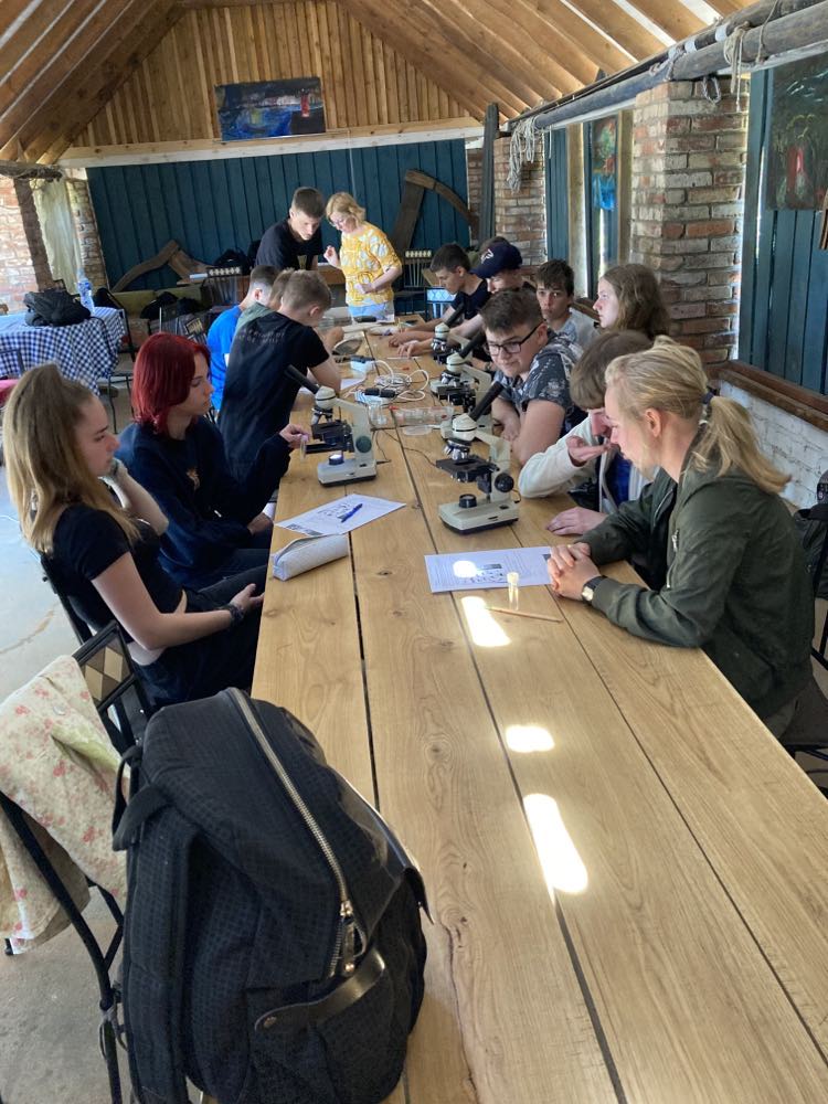 Pamoka kitaip by Paulius Zdanevičius - Ourboox.com