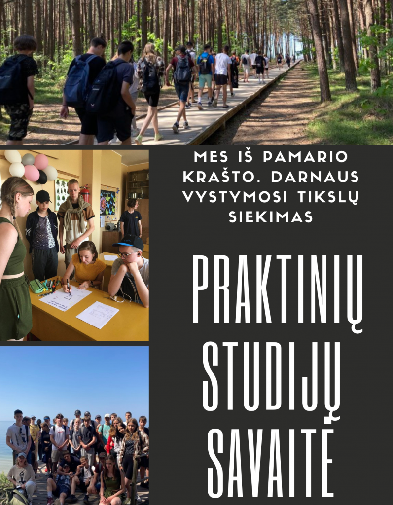 Pamoka kitaip by Paulius Zdanevičius - Ourboox.com