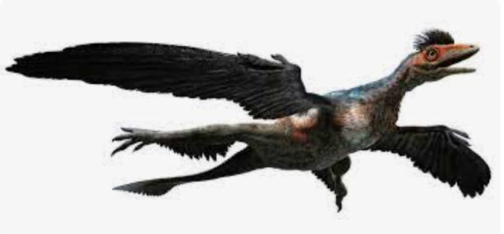 RICERCHE SUI DINOSAURI CL. 3^ PRIMARIA PRIOCCA by PAOLA - Illustrated by CLASSE 3^ PRIMARIA PRIOCCA - Ourboox.com