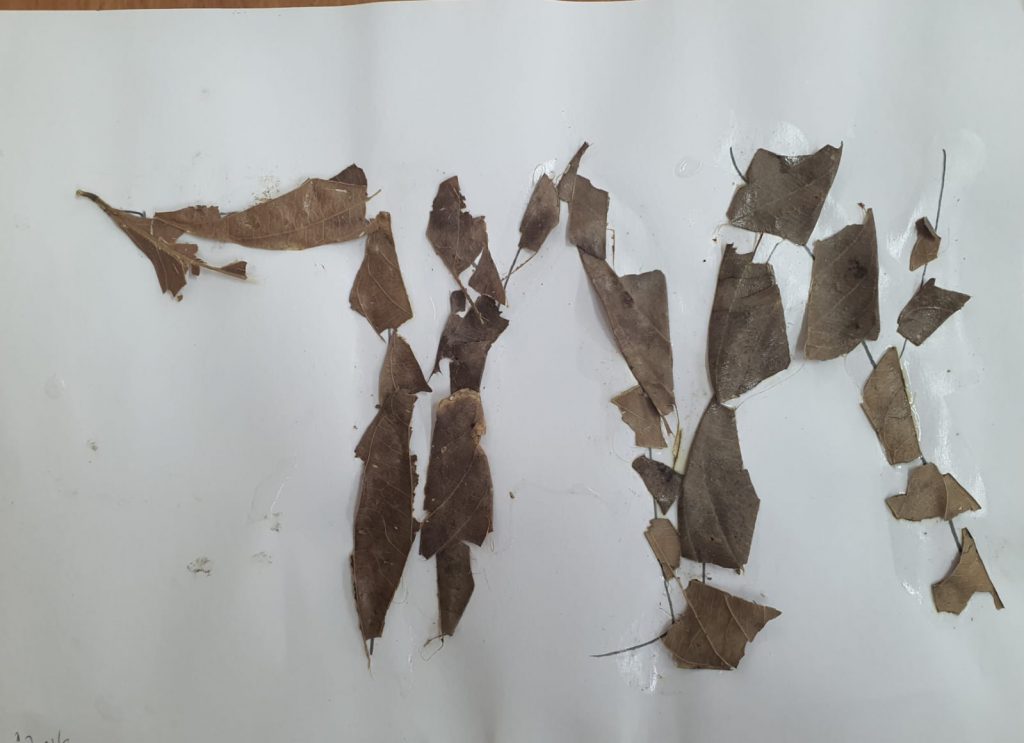 אמרי אסרף by adi zilber - Ourboox.com