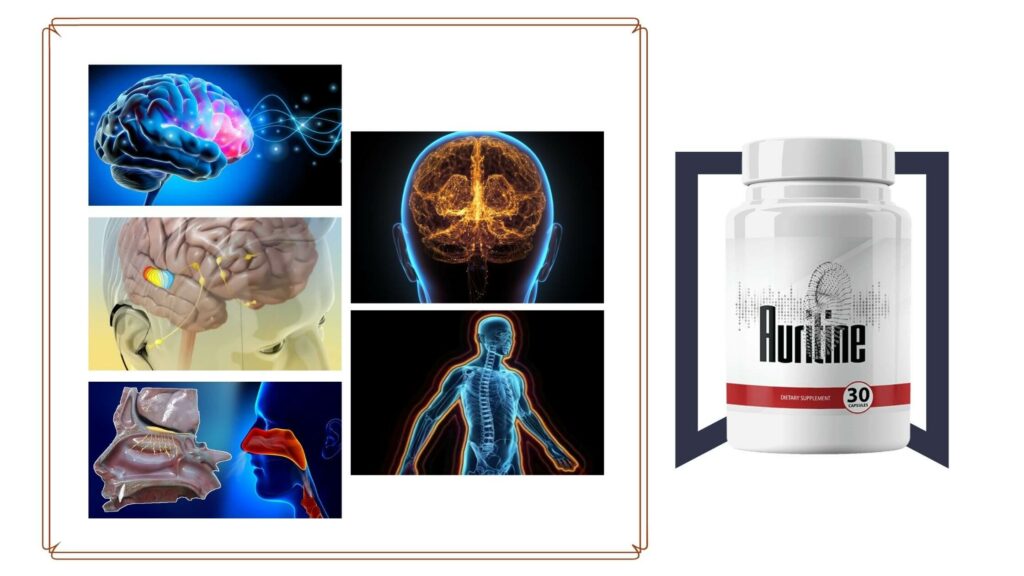 Auritine HONEST REVIEW 2023 UPDATE ⚠ ((Know This Before You Buy!)) Auritine Honest Reviews by Health Care - Ourboox.com