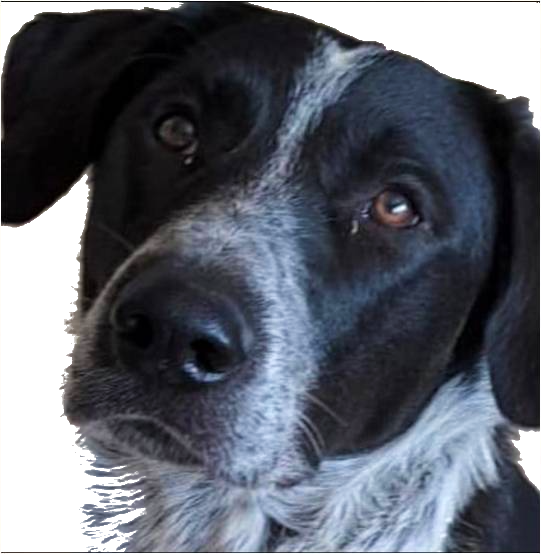 על התמודדות והתגברות- כיתה ה תנשמת התשפ”ג by Nadav Tzabari - Ourboox.com