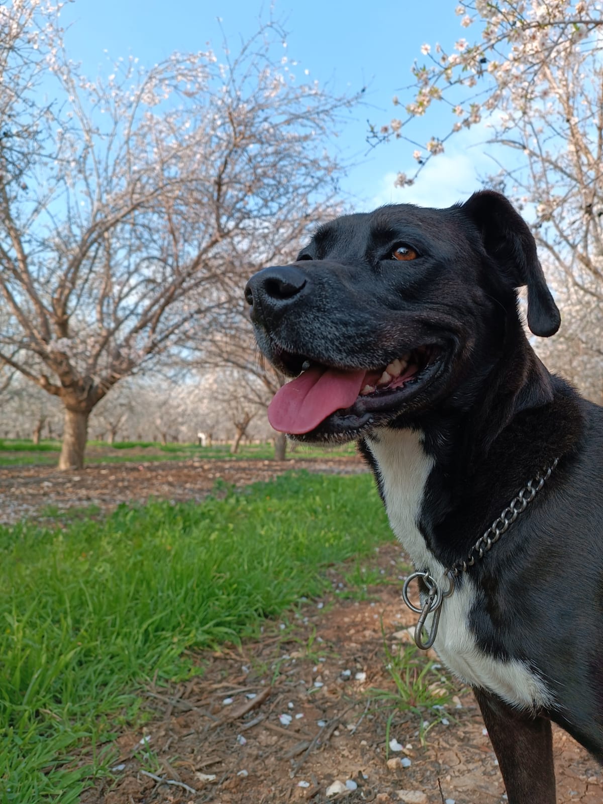 על התמודדות והתגברות- כיתה ה תנשמת התשפ”ג by Nadav Tzabari - Ourboox.com