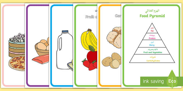 الهرم الغذائي by byan - Illustrated by بيان صلاح - Ourboox.com