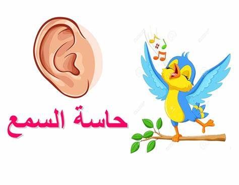 الحواس الخمسة by mera - Illustrated by سندس مصطفى - Ourboox.com