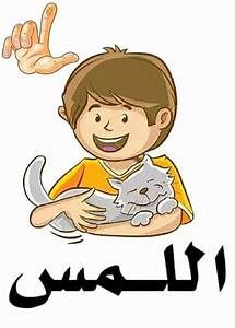 الحواس الخمسة by mera - Illustrated by سندس مصطفى - Ourboox.com