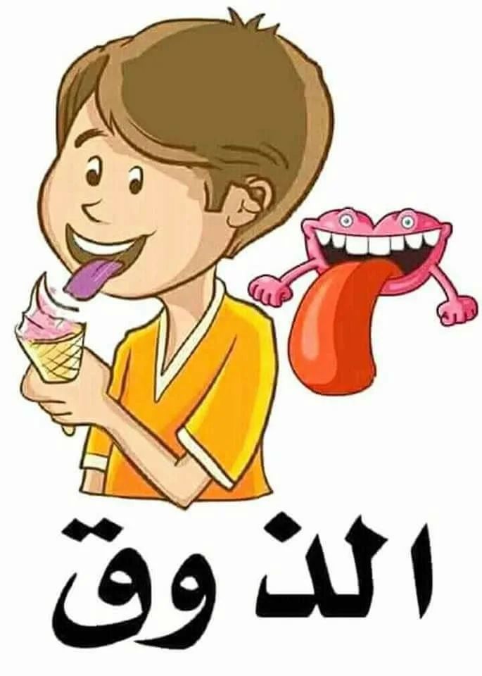 الحواس الخمسة by mera - Illustrated by سندس مصطفى - Ourboox.com