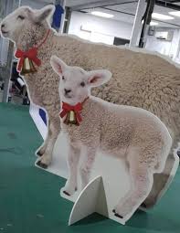 הצאצאים של בעלי חיים by maryam assadi - Ourboox.com