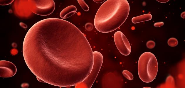 اول من اكتشف الدوره الدمويه الصغرى by kamarin assadi - Ourboox.com