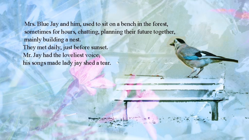 11 by sabrina - Ourboox.com