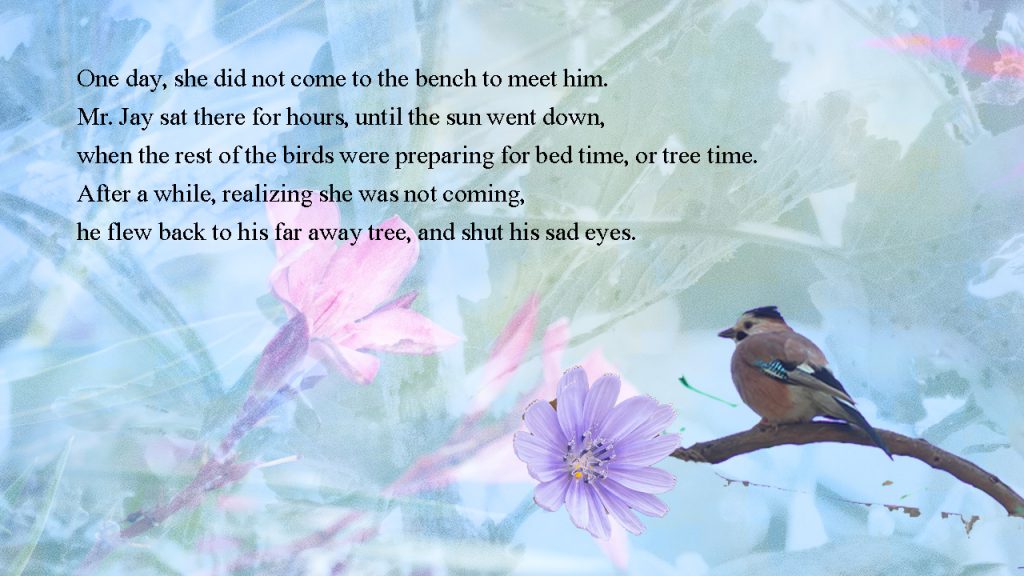 11 by sabrina - Ourboox.com