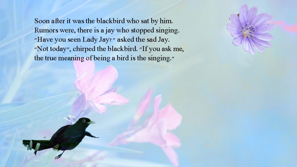 11 by sabrina - Ourboox.com