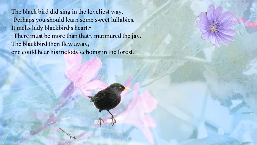 11 by sabrina - Ourboox.com