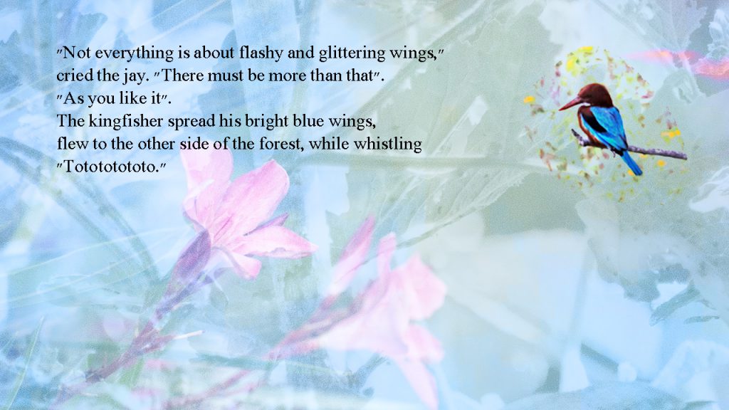 11 by sabrina - Ourboox.com