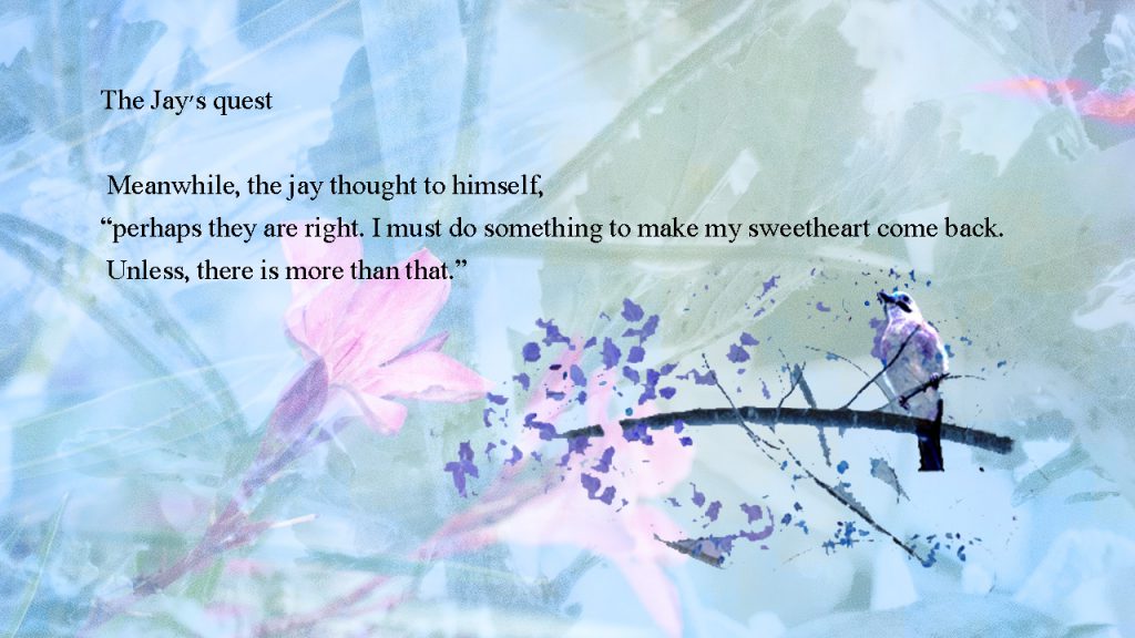 11 by sabrina - Ourboox.com