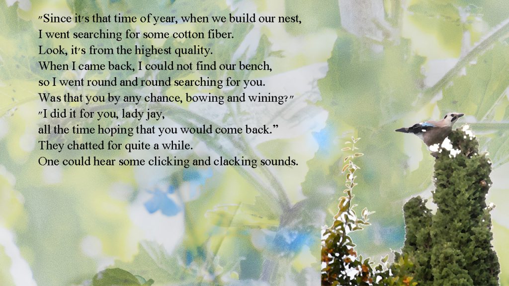 11 by sabrina - Ourboox.com