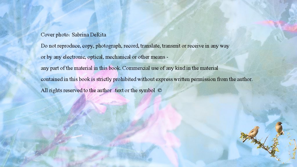 11 by sabrina - Ourboox.com